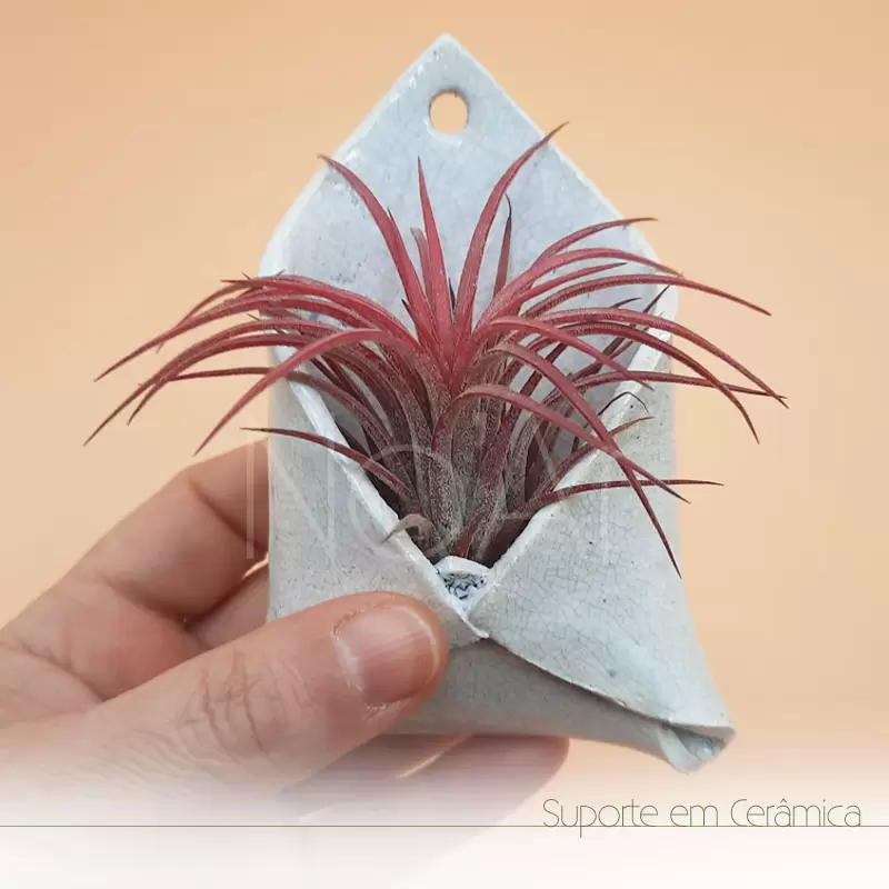 Envelope em cerâmica pequeno com planta