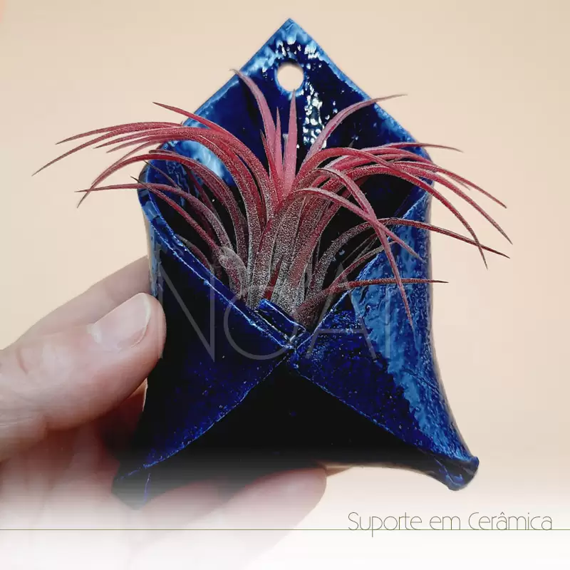Envelope em cerâmica pequeno com planta