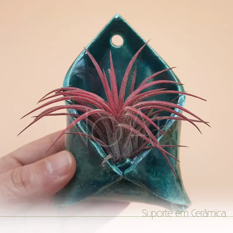 Envelope em cerâmica pequeno com planta