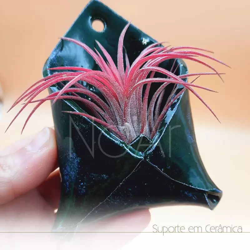 Envelope em cerâmica pequeno com planta