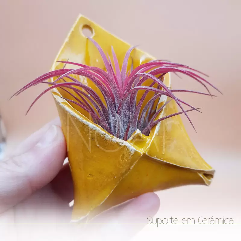 Envelope em cerâmica pequeno com planta