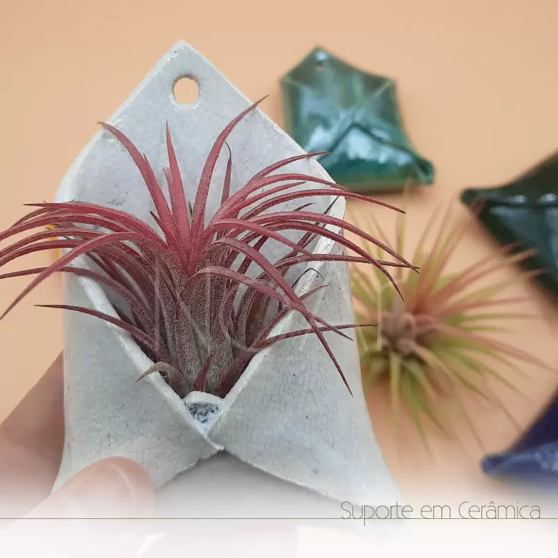 Envelope em cerâmica pequeno com planta
