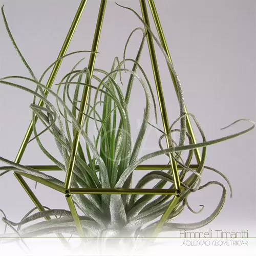 Himmeli Timanti Médio - Plantas No'Ar