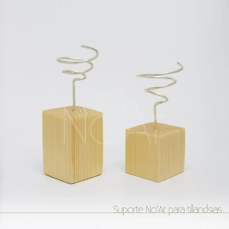 Suporte para tillandsia - Plantas No'Ar